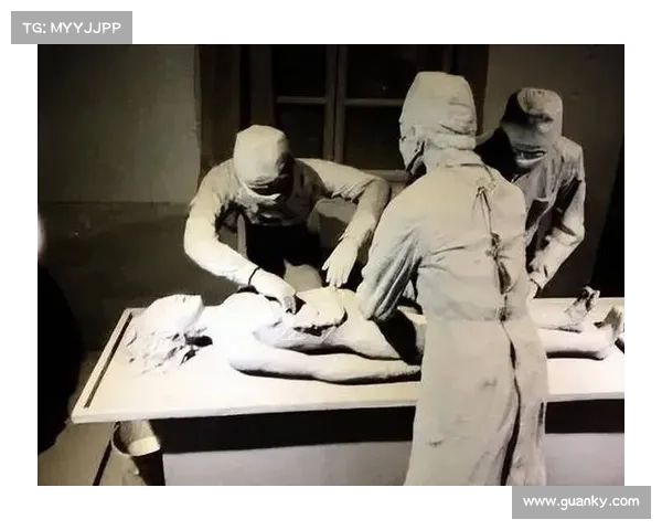 揭秘德国换血背后的十大真相令人震惊的隐藏目的曝光