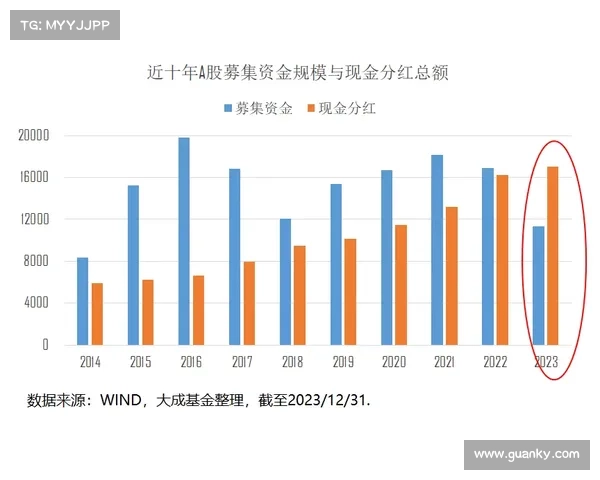 如何全面评估卢库米的潜力与市场价值分析